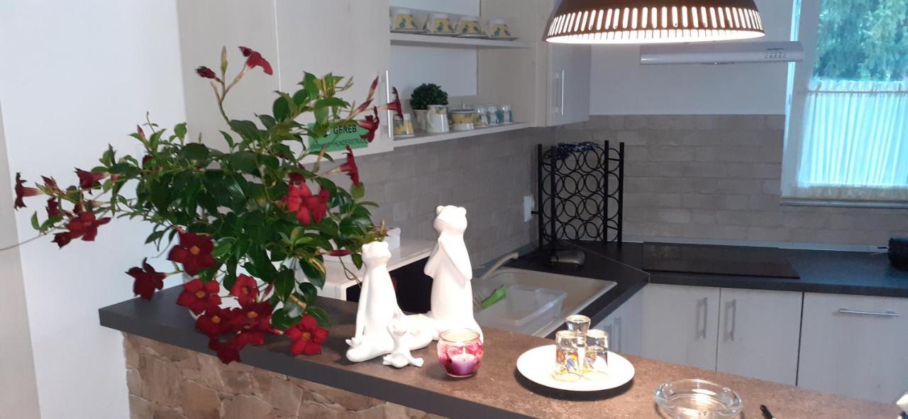 Raza Soarelui Apartament De Lux Sovata Exterior foto